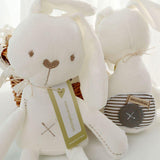 Rabbit Plush Toy